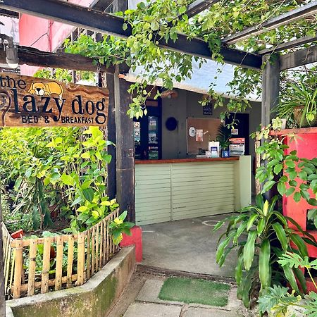 Lazy Dog Bed & Breakfast Balabag  Exteriör bild