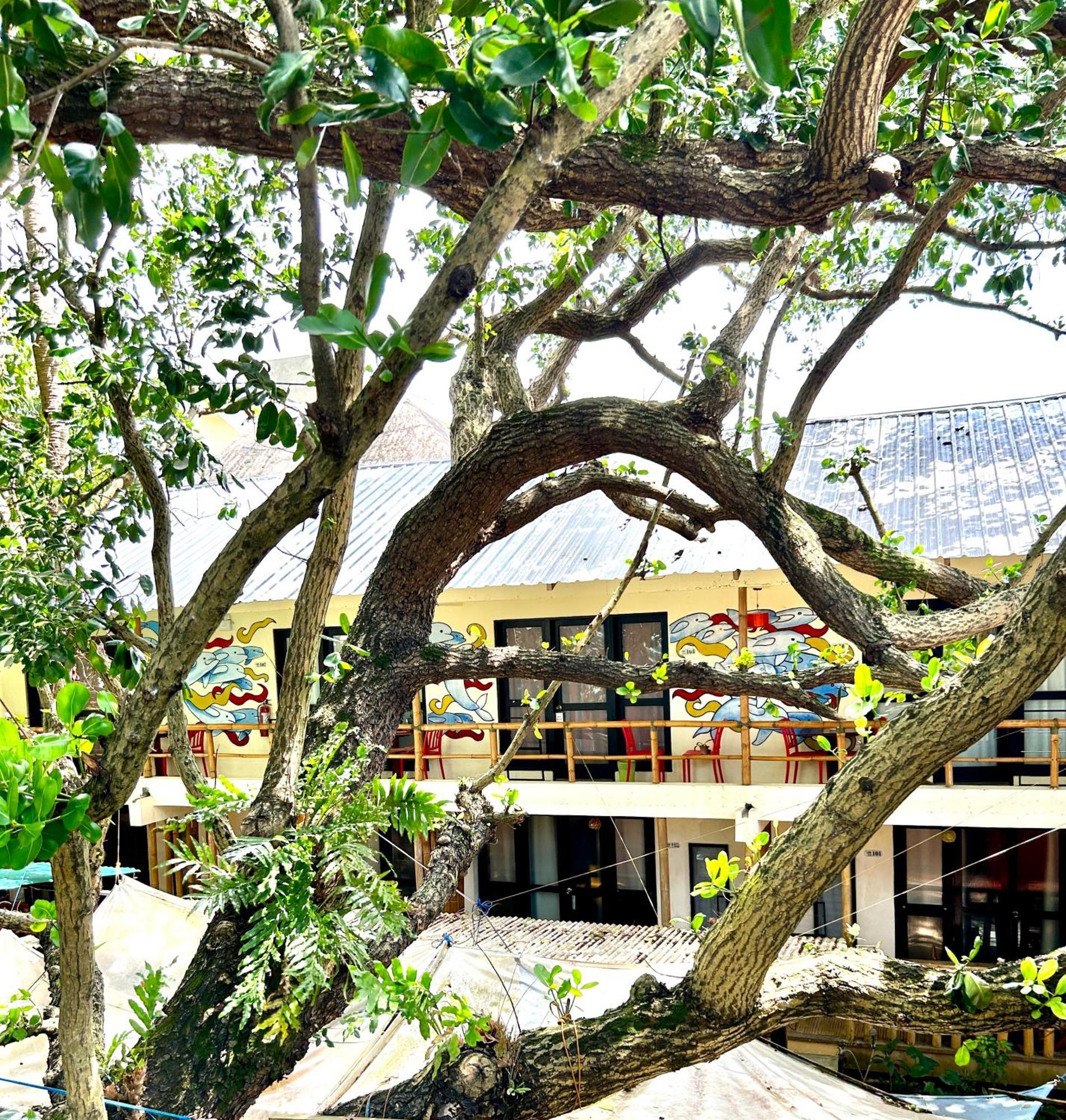 Lazy Dog Bed & Breakfast Balabag  Exteriör bild