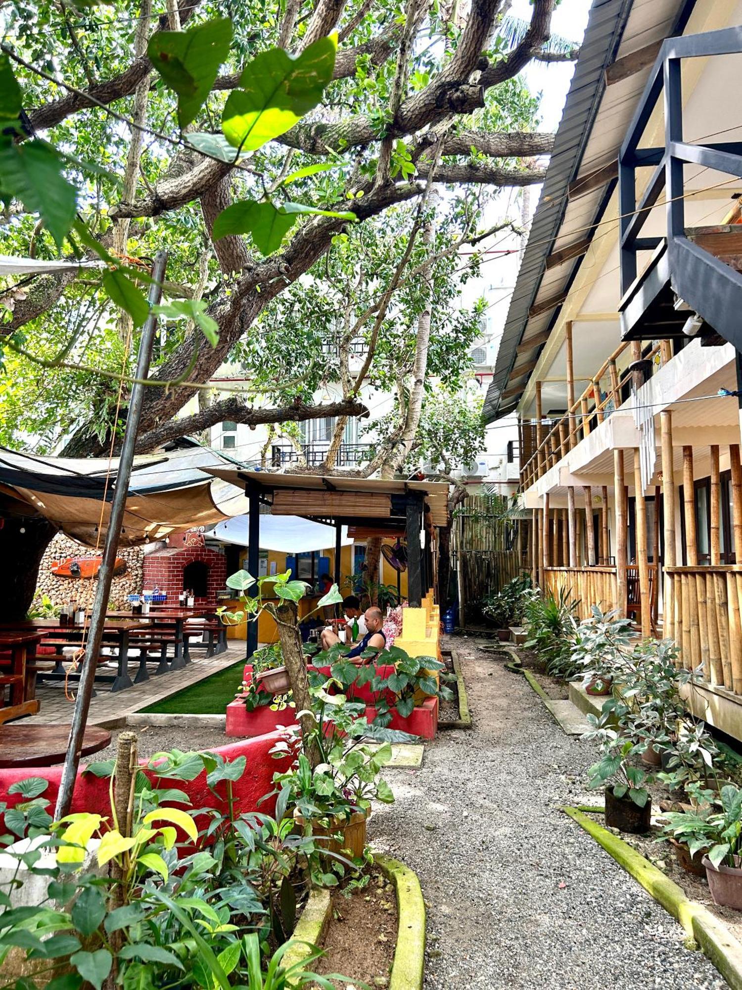 Lazy Dog Bed & Breakfast Balabag  Exteriör bild